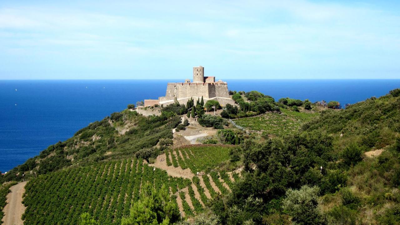 Les Hauts De Port Vendres Extérieur photo